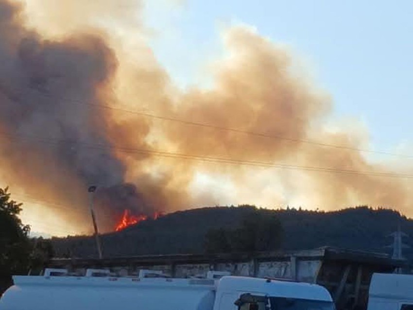 İzmir'de Aliağa'da yine aynı noktada ikinci kez orman yangını çıktı - Resim: 3