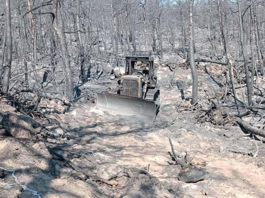 Eskişehir'de 10 orman kahramanının şehit olduğu nokta görüntülendi - Resim: 3