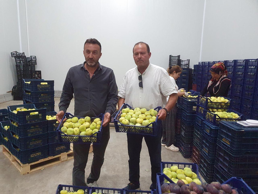 Mersin'in ''beyaz altını'' tanesi 20 TL'den yurt dışına satılıyor - Resim: 2