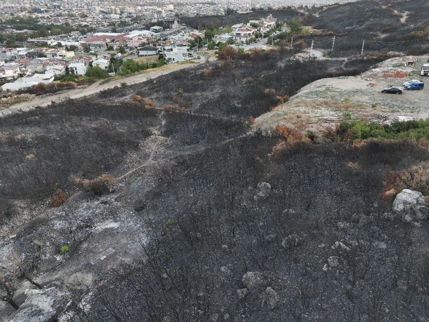 İzmir'de yerleşim yerlerine kadar ulaşan yangında kahreden görüntüler - Resim: 4