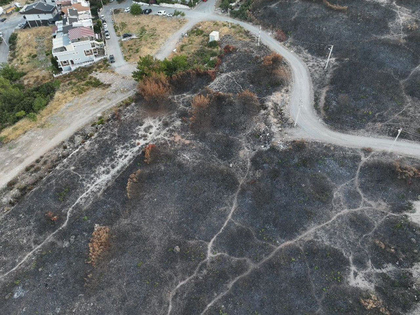 İzmir'de yerleşim yerlerine kadar ulaşan yangında kahreden görüntüler - Resim: 1