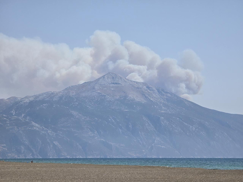 Suriye'de çıkan orman yangını Türkiye’ye sıçradı; alevler geceyi gündüze çevirdi - Resim: 4