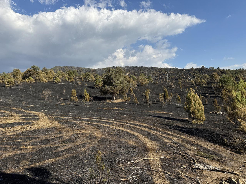 Karabük'teki büyük orman yangınında kafaları karıştıran ''kargalar'' detayı - Resim: 2
