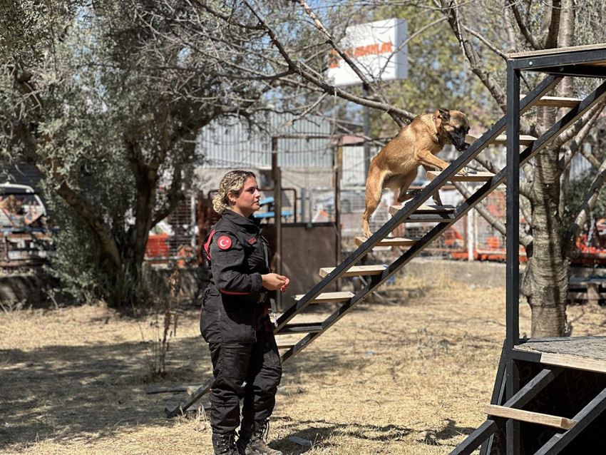 Türkiye'nin çok özel 4 ayaklı timinin zorlu eğitimleri görüntülendi - Resim: 3