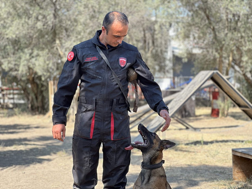Türkiye'nin çok özel 4 ayaklı timinin zorlu eğitimleri görüntülendi - Resim: 2