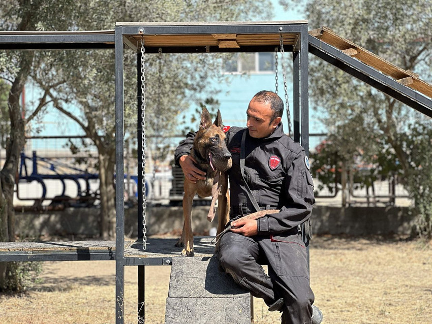 Türkiye'nin çok özel 4 ayaklı timinin zorlu eğitimleri görüntülendi - Resim: 1