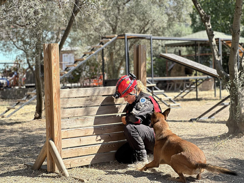 Türkiye'nin çok özel 4 ayaklı timinin zorlu eğitimleri görüntülendi - Resim: 4