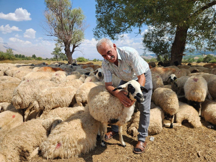 Ayda 130 bin TL maaş ödemeye hazırlar ama çalışacak eleman yok - Resim: 1