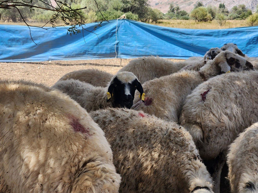 Ayda 130 bin TL maaş ödemeye hazırlar ama çalışacak eleman yok - Resim: 2
