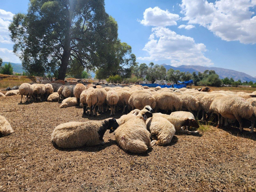 Ayda 130 bin TL maaş ödemeye hazırlar ama çalışacak eleman yok - Resim: 4