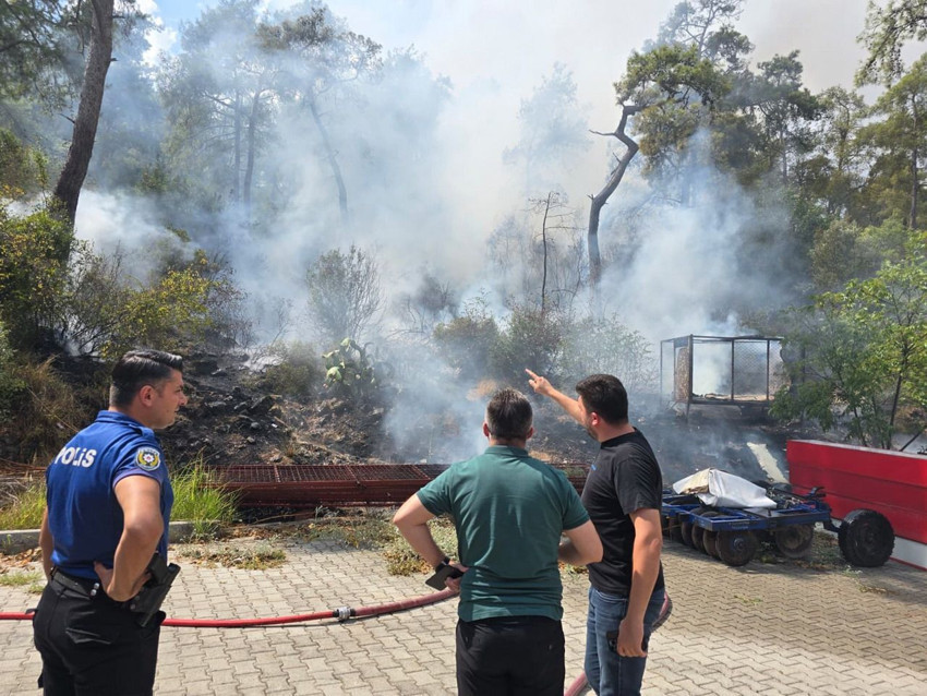 Antalya'da orman yangını - Resim: 2