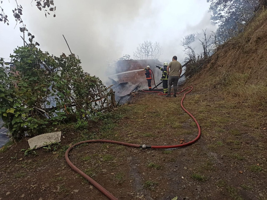 Artvin'de yangın kabusu: 4 ev küle döndü - Resim: 1