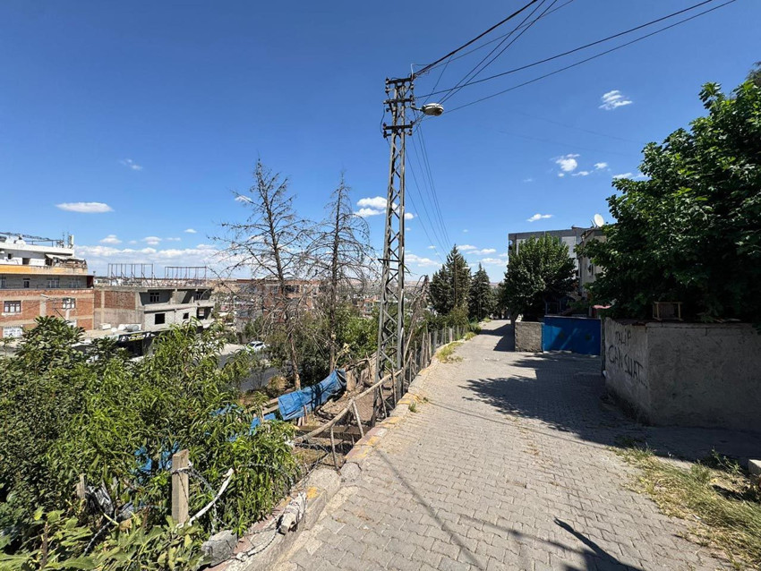 Yerde yatan keçiye dokundu, feci şekilde can verdi - Resim: 4
