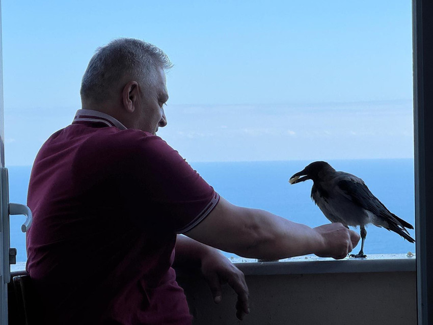 Ordulu fındıkçı ile karga Şakir'in dostluğu görenleri şaşırtıyor - Resim: 1