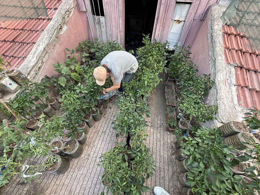 18 metrekarelik terasını tarlaya dönüştürdü, gören gözlerine inanamıyor - Resim: 4