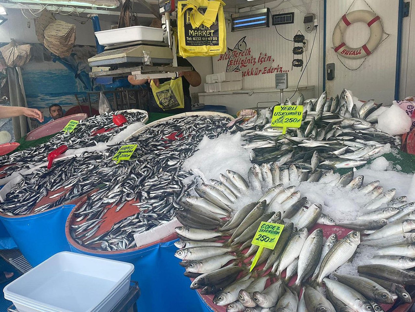 Balıkçıların yüzü gülüyor: 15 gün önce kalkan av yasağının ardından tezgahlarda yok yok - Resim: 4