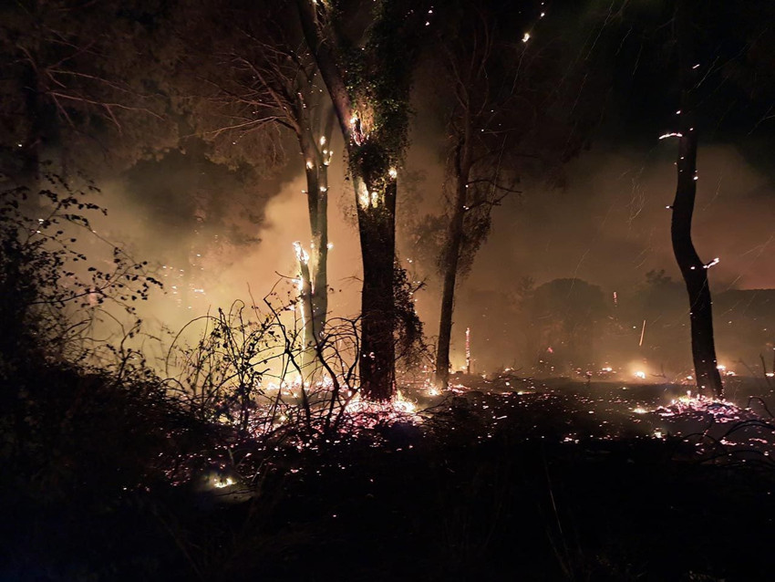 Antalya'da kabus gecesi! Oteller tahliye edildi - Resim: 3