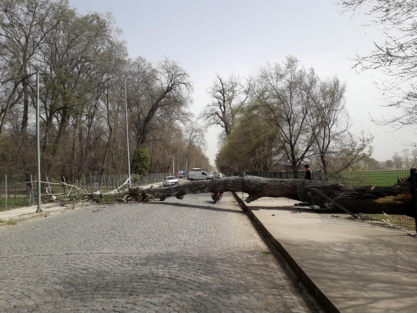Meteoroloji saat verdi: İki bölgede fırtına bekleniyor! - Resim: 2