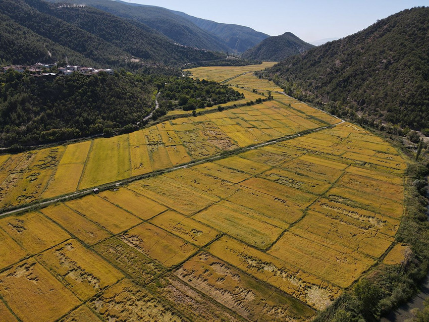 220 dekarlık milli servet boş boş duruyordu... Müjdeli haber geldi - Resim: 2