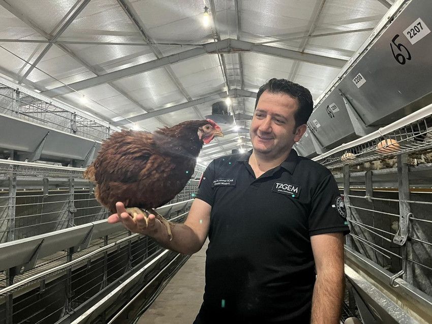 Yapay zeka şimdi de yumurtacı civciv üretimine karıştı - Resim: 3