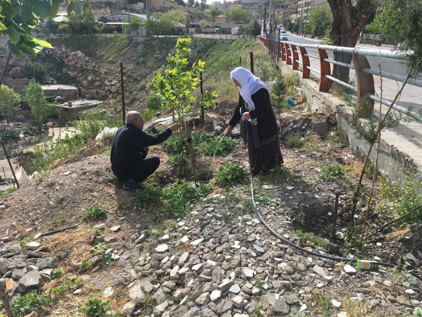 Bir şehri kaderine terk etmedi, tam 3 bin fidan dikip yemyeşil bir orman yarattı - Resim: 2
