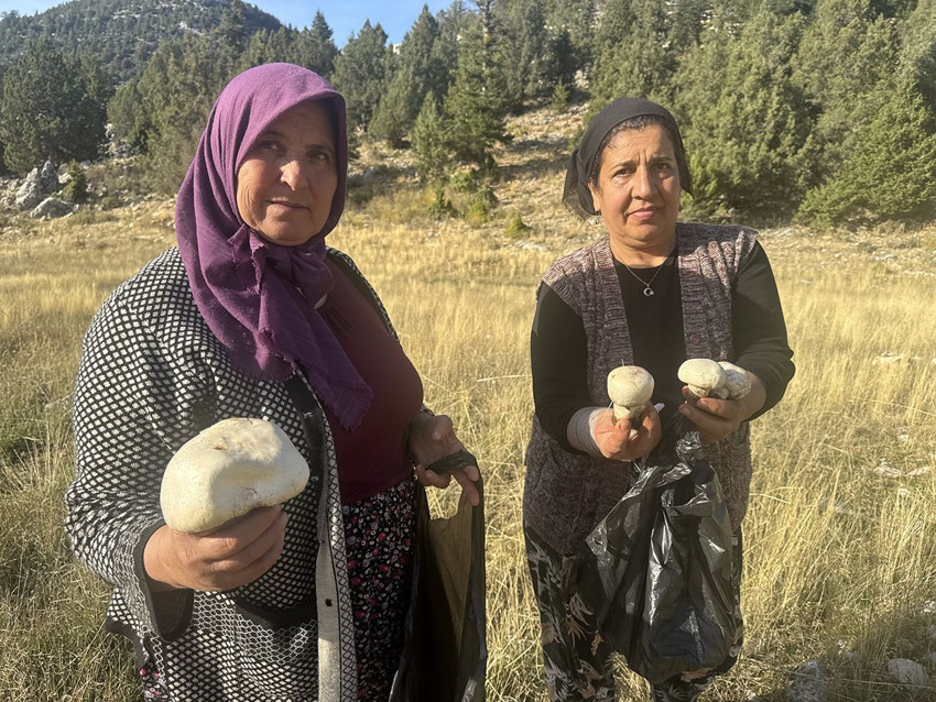 Doğanın içerisinde şifa kayanğı lezzet için iz sürme sezonu başladı - Resim: 1