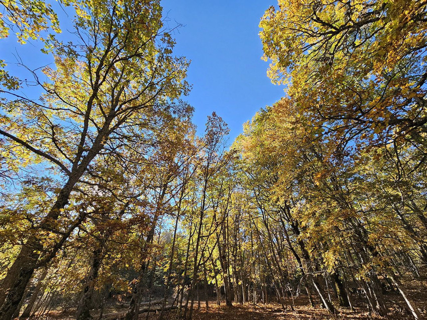 Burası Türkiye'nin yasaklı cenneti: İzinsiz girene yarım milyon TL ceza kesiliyor! - Resim: 2