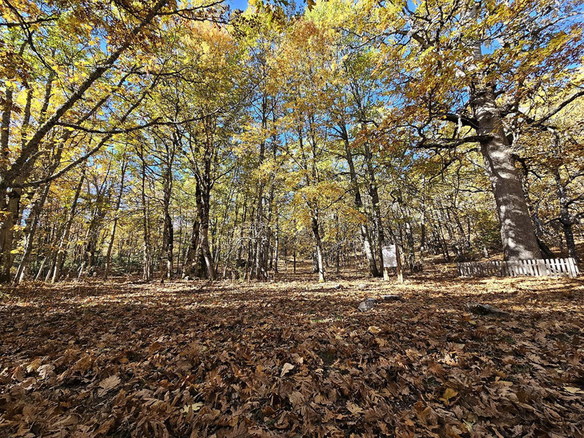 Burası Türkiye'nin yasaklı cenneti: İzinsiz girene yarım milyon TL ceza kesiliyor! - Resim: 1