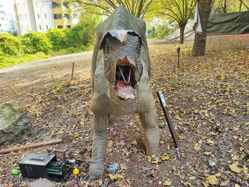 Türkiye'nin dinazor mezarlığı görüntülendi: Sadece 1 yılda bu hale geldi... - Resim: 1
