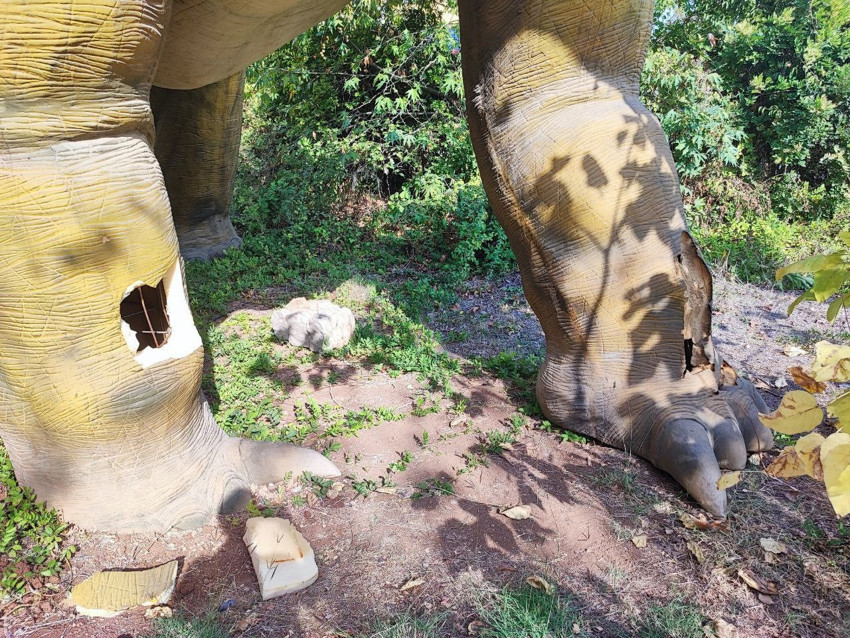 Türkiye'nin dinazor mezarlığı görüntülendi: Sadece 1 yılda bu hale geldi... - Resim: 4