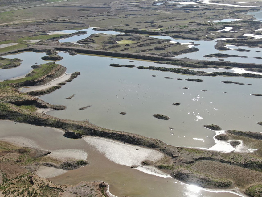 Burası Türkiye'nin en büyük barajlarından biriydi... Balıklar gitti, inekler geldi - Resim: 4