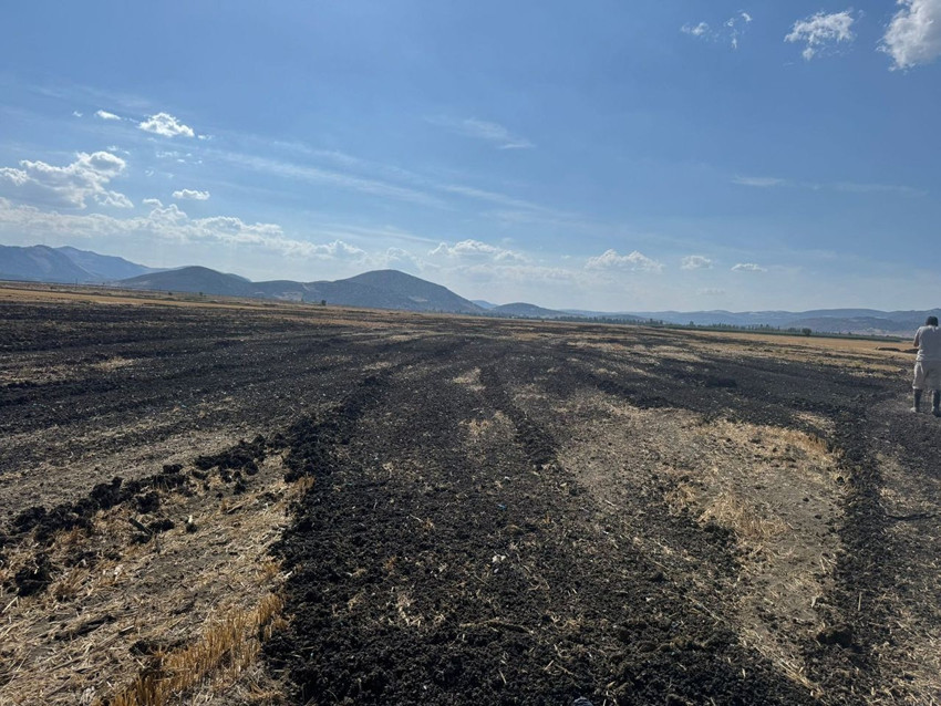 Doğanın katilleri suçüstü yakalandı: Ne yaptıklarına inanamayacaksınız! - Resim: 3