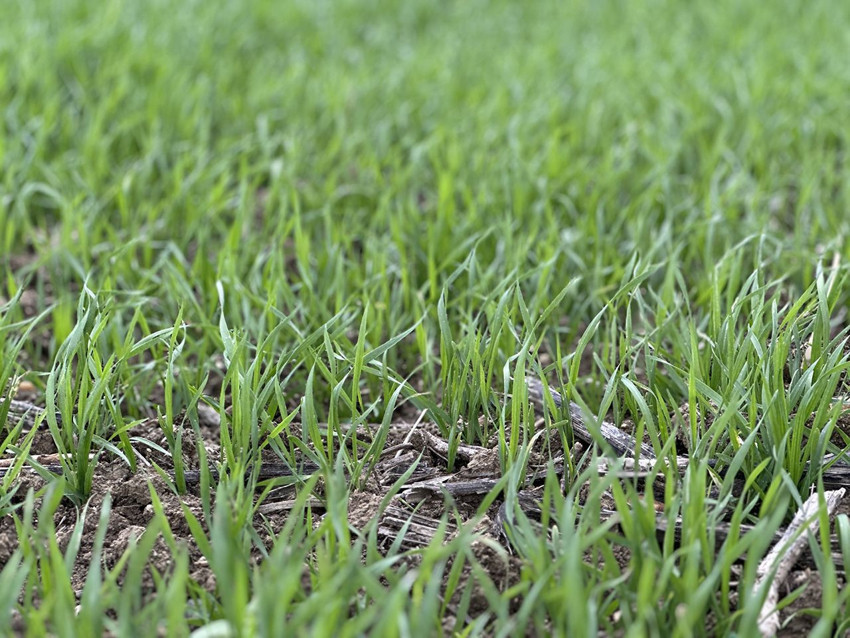 Türkiye'nin eşsiz manzaralarıyla tanınan sapsarı cennetleri de yok oldu - Resim: 4