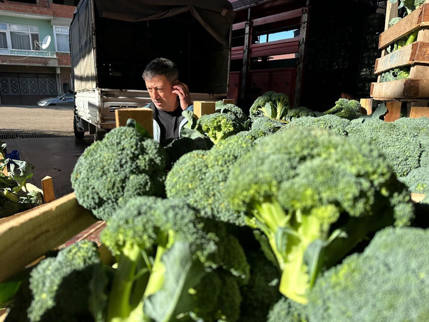 Fiyatı tarlada 10 TL'ye düşen şifa deposu brokoli pazarda 70 TL! - Resim: 4