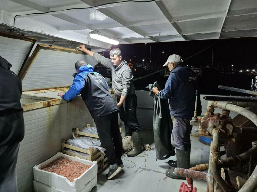 Çanakkale'de yarım tondan fazla balığa el konuldu - Resim: 1