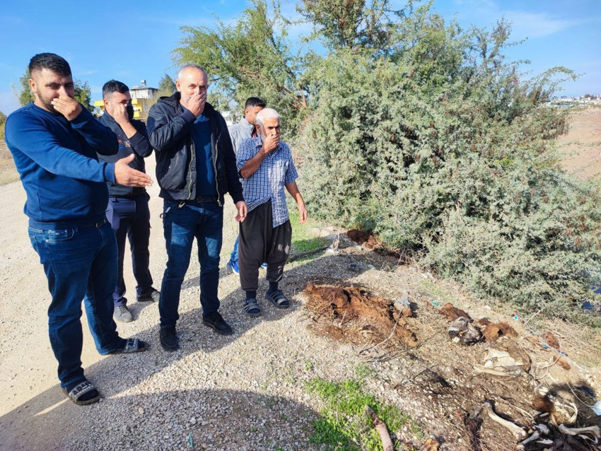 Dere yatağından gelen kokular korkunç gerçeği gözler önüne serdi! - Resim: 4