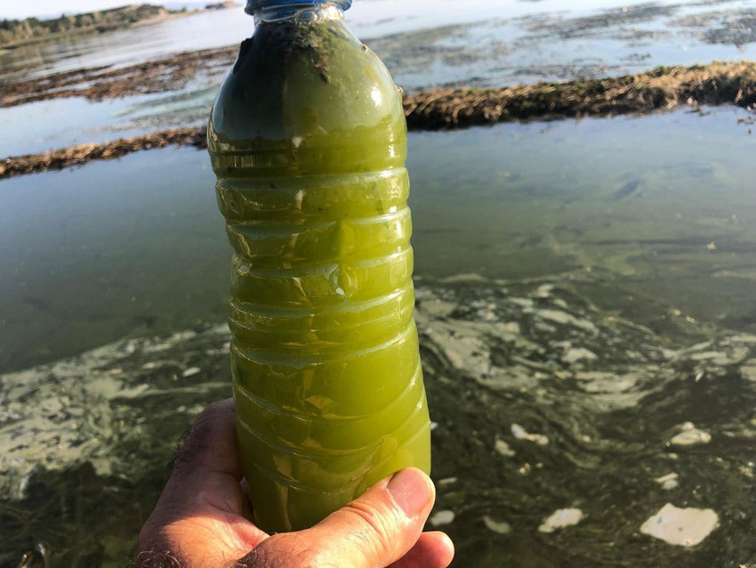 Türkiye'nin bir zamanlar masmavi cenneti renk değiştirdi! Yeşil yapı riski kamerada - Resim: 4