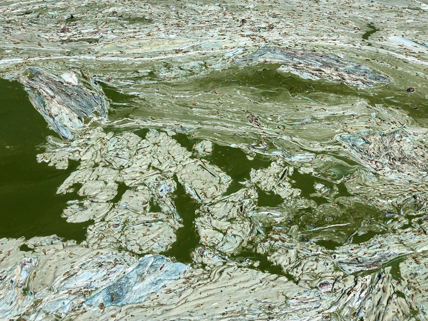 Türkiye'nin bir zamanlar masmavi cenneti renk değiştirdi! Yeşil yapı riski kamerada - Resim: 3