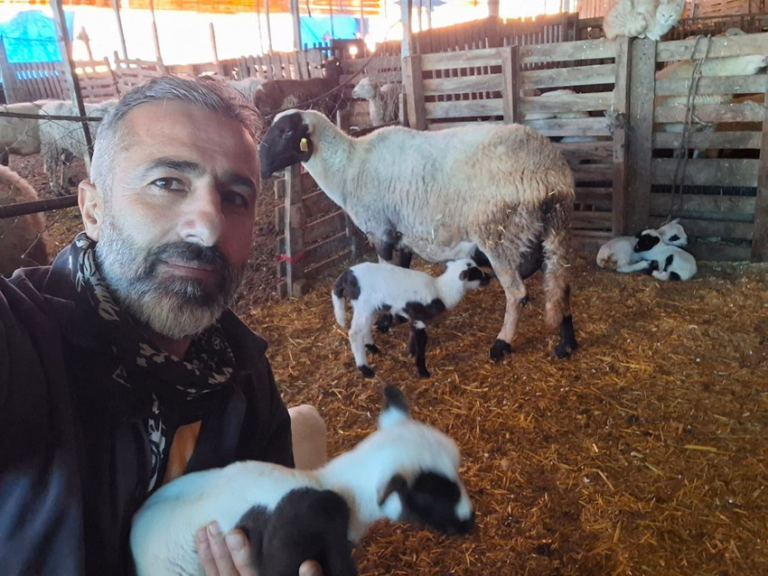 Tam vazgeçecekken hayvanları dördüz, beşiz yavrulamaya başlayınca kendi işlerinin patronu oldular! - Resim: 3