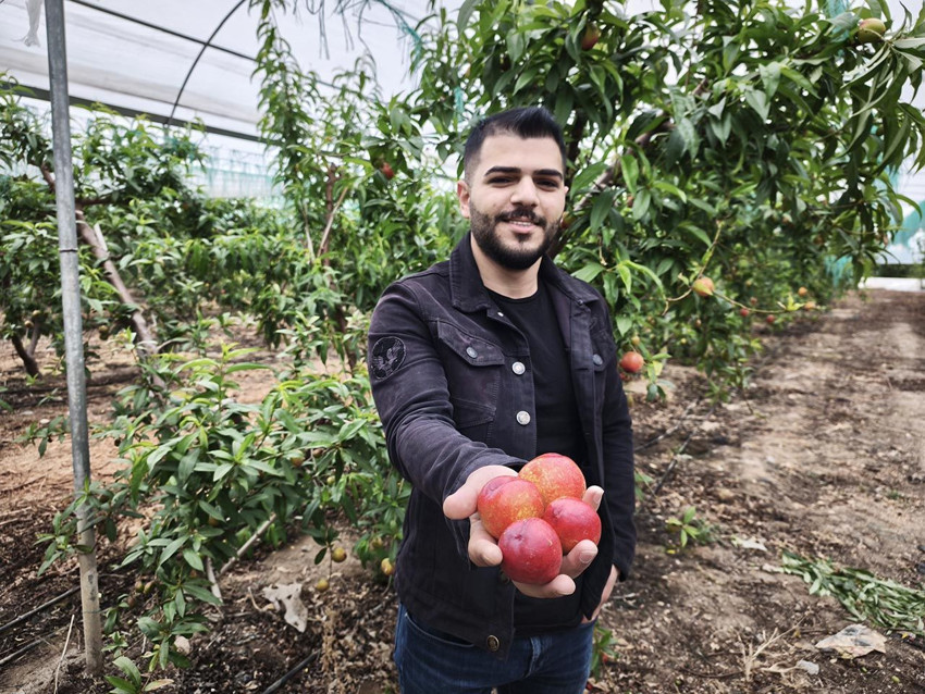 Türkiye'nin naranciye deposunda hasat zamanı: Kilosu 500 TL'den satılıyor - Resim: 4