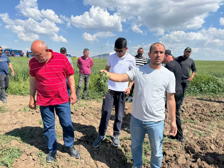 50 milyonluk tarlada çifte kira krizi! Dev arazi aynı anda farklı kişilere mi kiralandı ? - Resim: 2