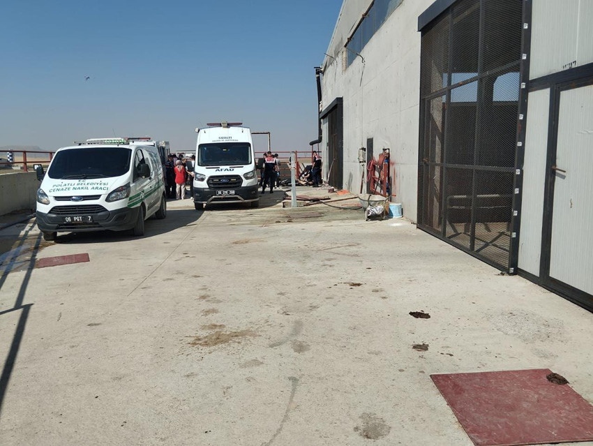 Ankara'da besi çiftliğinde facia: 2 işçi öldü - Resim: 4