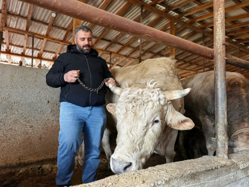 Kurban pazarındaki 1,1 tonluk devi gören gözlerine inanamadı - Resim: 2