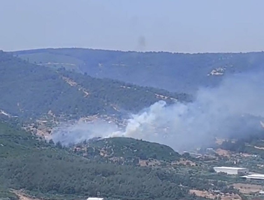 İzmir'de orman yangını - Resim: 3