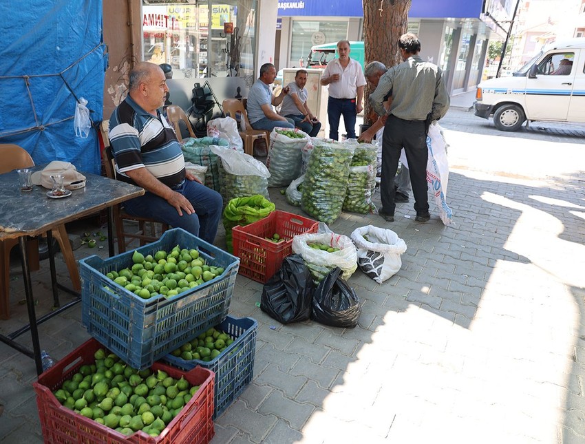 Türkiye'nin eşsiz lezzeti ''ilekleme''de sezon başladı - Resim: 1