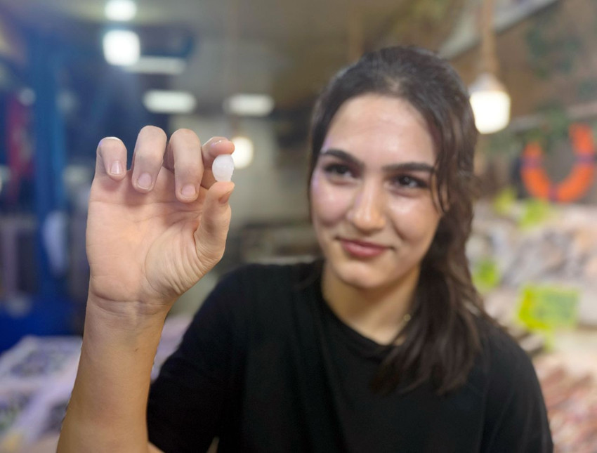 Türkiye'de tezgahları süsleyen bu balığın kilosu 650 TL ama taşıdığı sır tam 10 bin TL! - Resim: 1