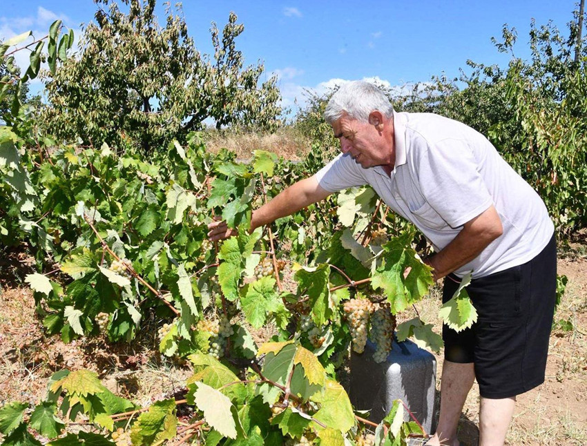 Türkiye'nin bir şifa kaynağı lezzetinden daha kötü haberler peşpeşe geldi - Resim: 4