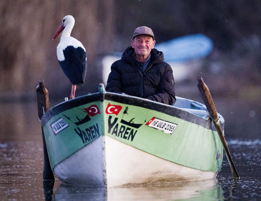 Yaren leylek bu yıl erken göçtü, Adem amca gözyaşları içinde veda etti... - Resim: 1
