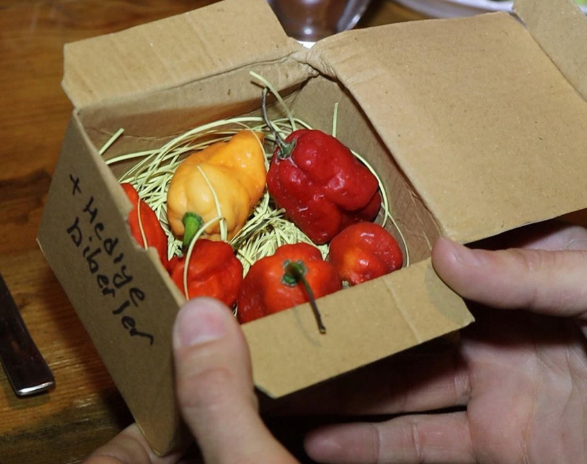 ''Dünyanın En Acı'' yarışması Acun Ilıcalı'yı bile kıskandıracak - Resim: 3