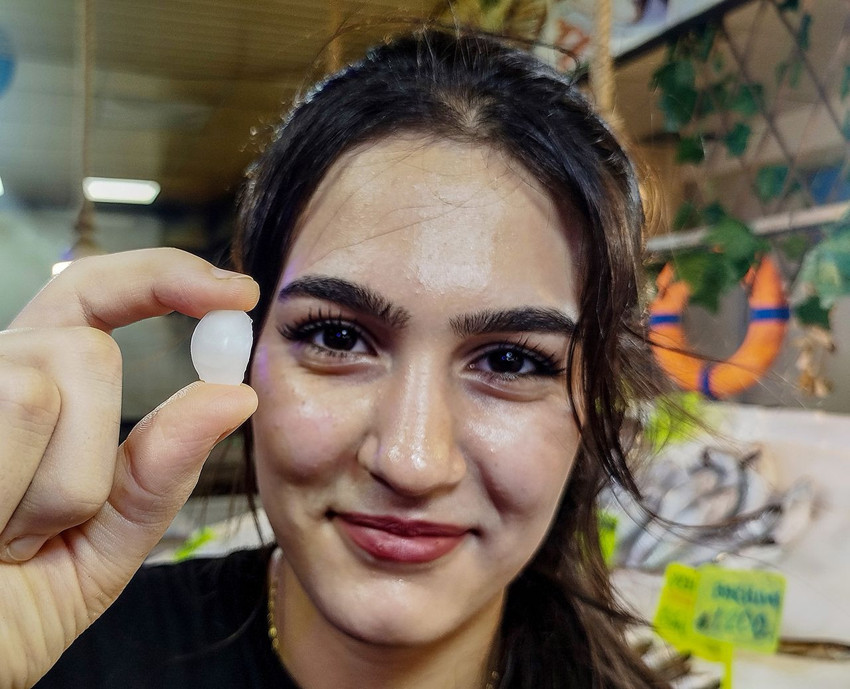 Türkiye'de tezgahları süsleyen bu balığın kilosu 650 TL ama taşıdığı sır tam 10 bin TL! - Resim: 4